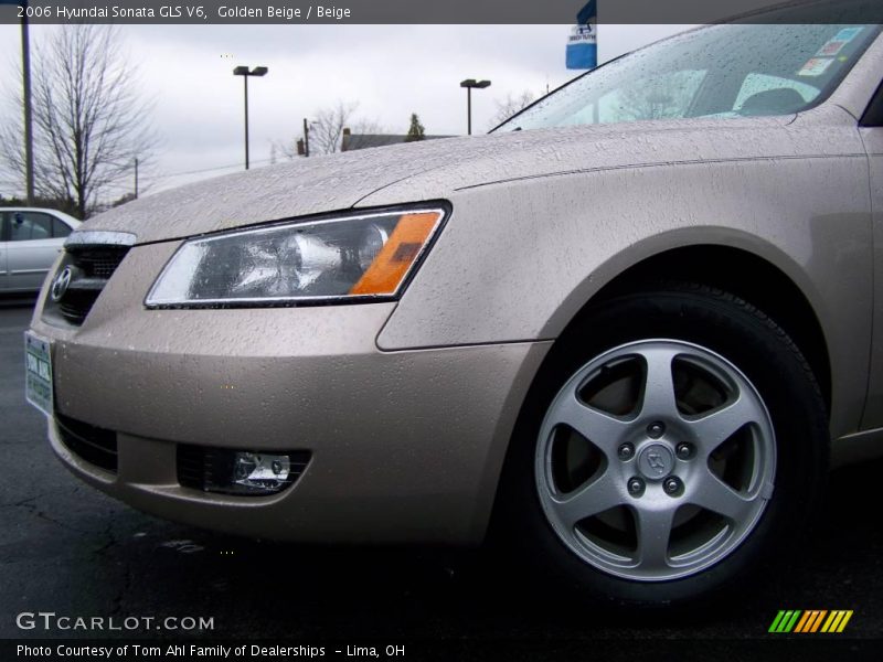 Golden Beige / Beige 2006 Hyundai Sonata GLS V6