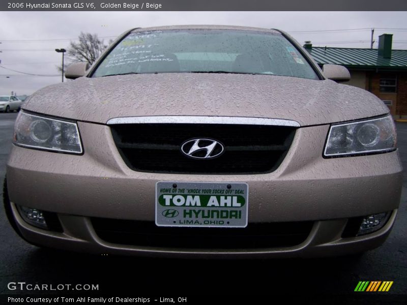 Golden Beige / Beige 2006 Hyundai Sonata GLS V6