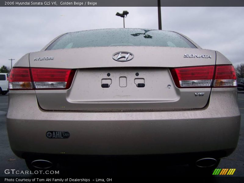 Golden Beige / Beige 2006 Hyundai Sonata GLS V6