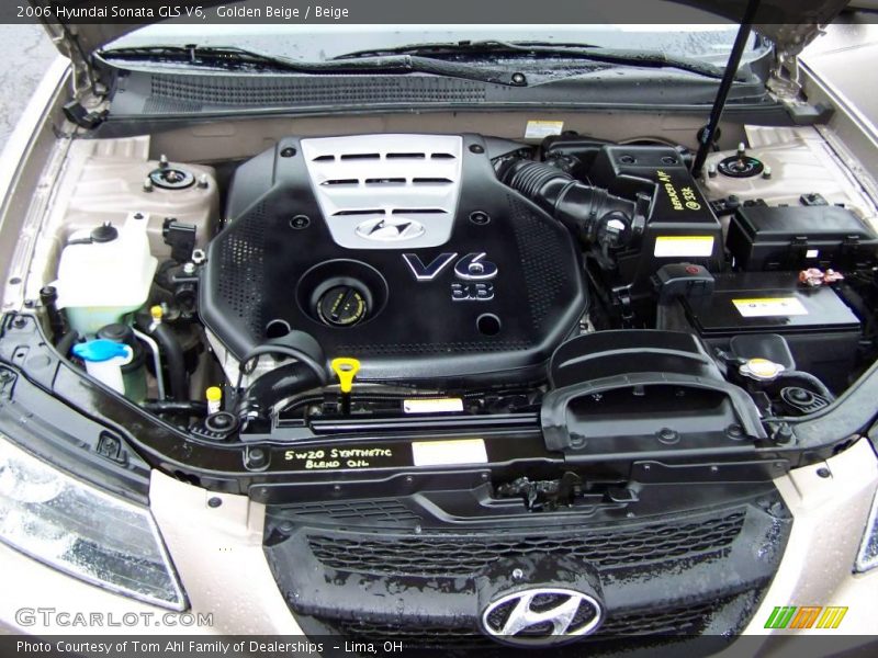 Golden Beige / Beige 2006 Hyundai Sonata GLS V6