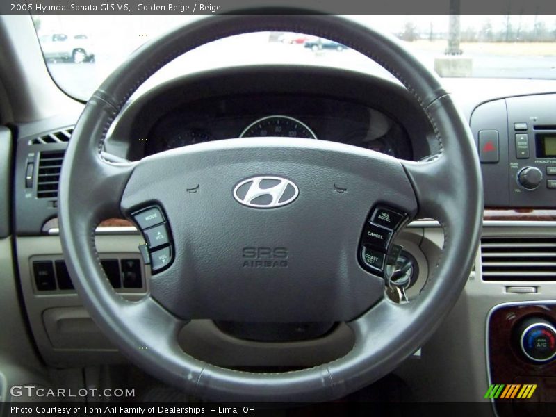 Golden Beige / Beige 2006 Hyundai Sonata GLS V6