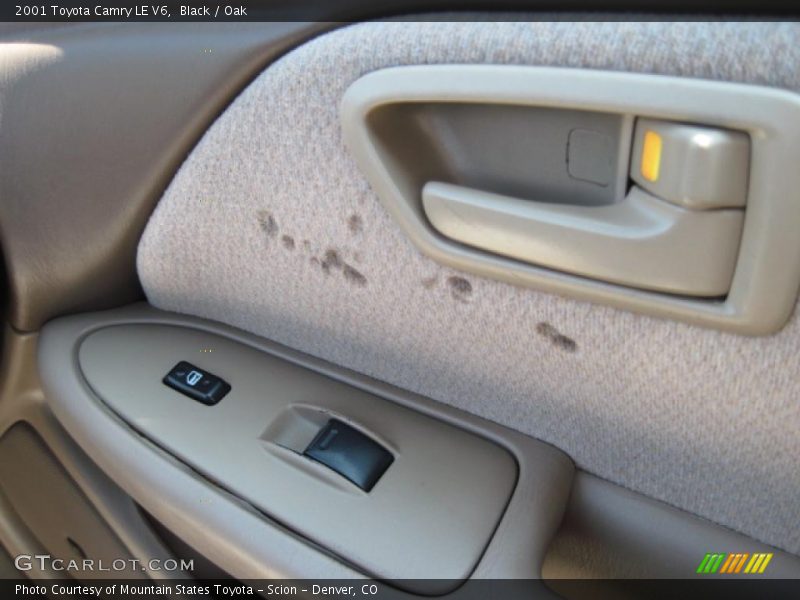 Black / Oak 2001 Toyota Camry LE V6