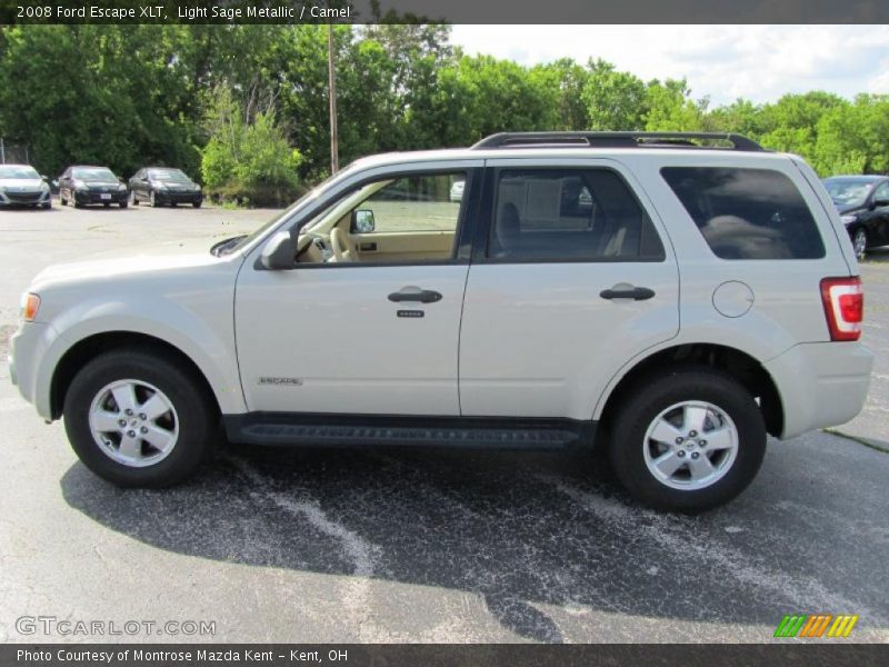 Light Sage Metallic / Camel 2008 Ford Escape XLT