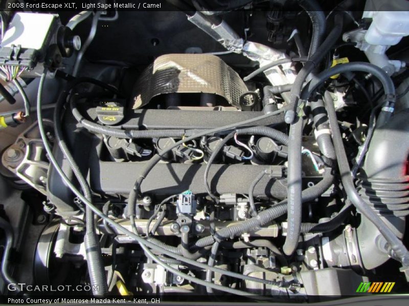 Light Sage Metallic / Camel 2008 Ford Escape XLT