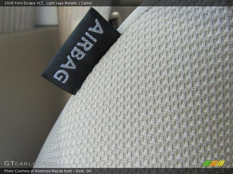 Light Sage Metallic / Camel 2008 Ford Escape XLT
