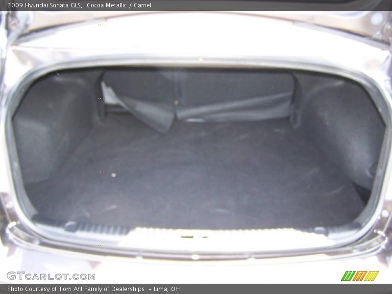 Cocoa Metallic / Camel 2009 Hyundai Sonata GLS