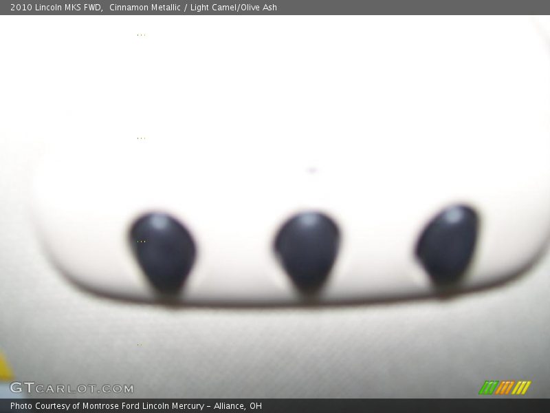 Cinnamon Metallic / Light Camel/Olive Ash 2010 Lincoln MKS FWD