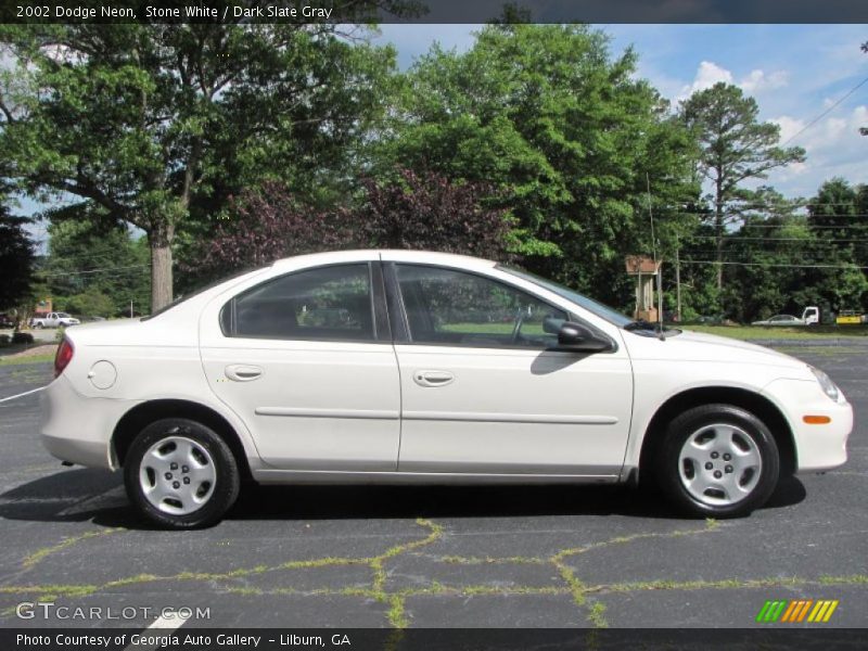 Stone White / Dark Slate Gray 2002 Dodge Neon