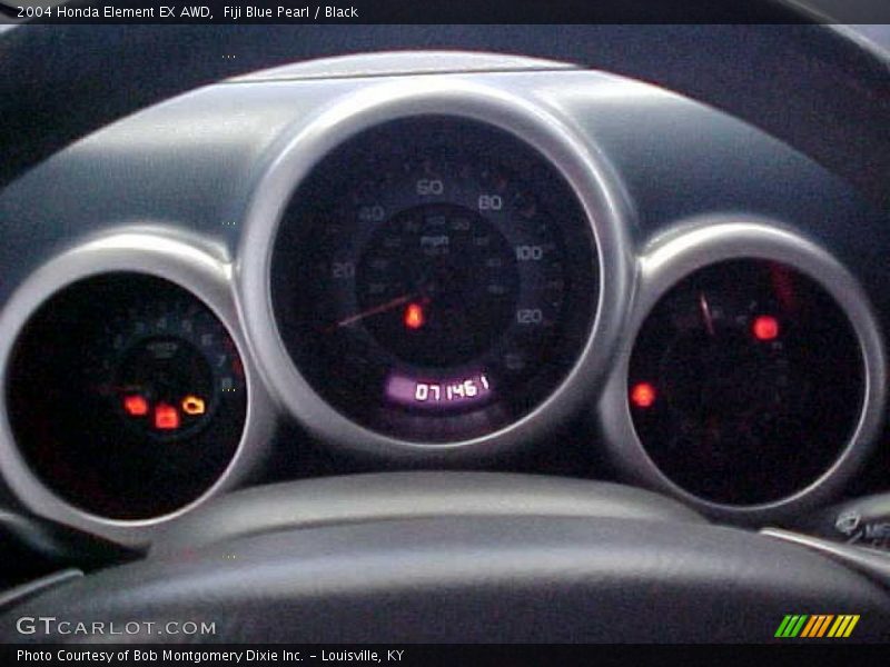 Fiji Blue Pearl / Black 2004 Honda Element EX AWD