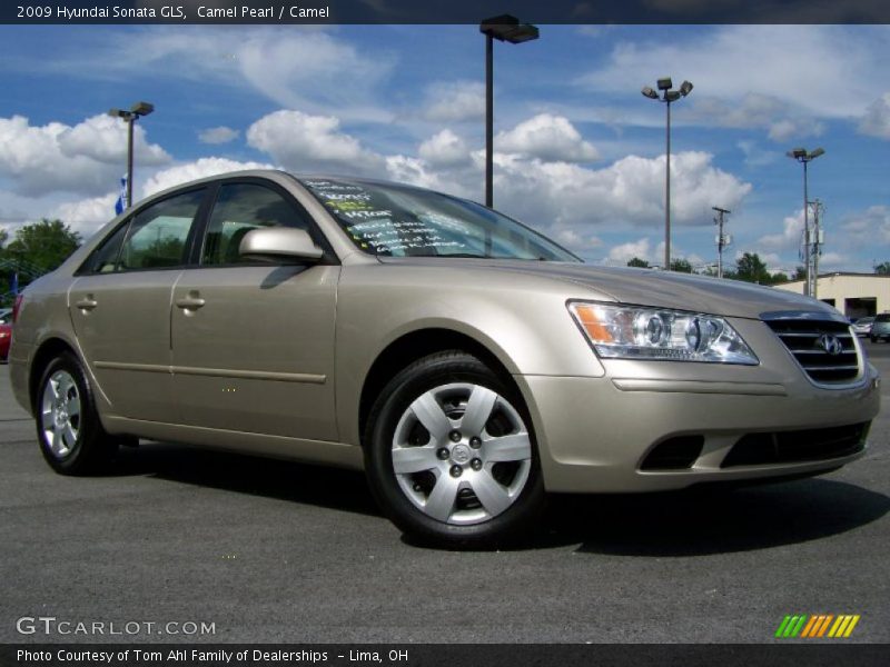 Camel Pearl / Camel 2009 Hyundai Sonata GLS