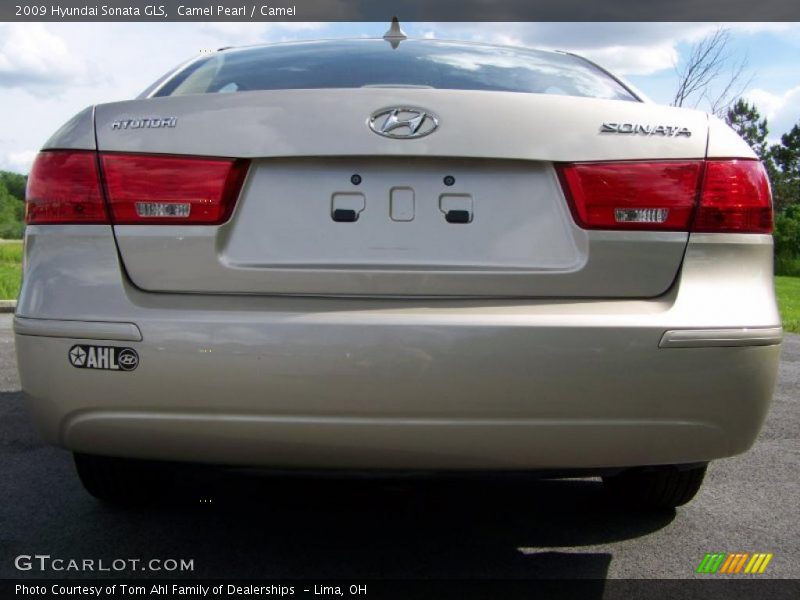 Camel Pearl / Camel 2009 Hyundai Sonata GLS