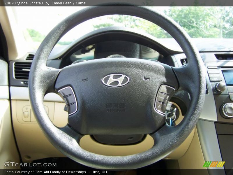 Camel Pearl / Camel 2009 Hyundai Sonata GLS