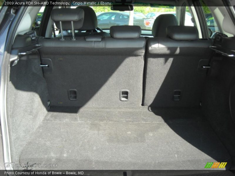 Grigio Metallic / Ebony 2009 Acura RDX SH-AWD Technology