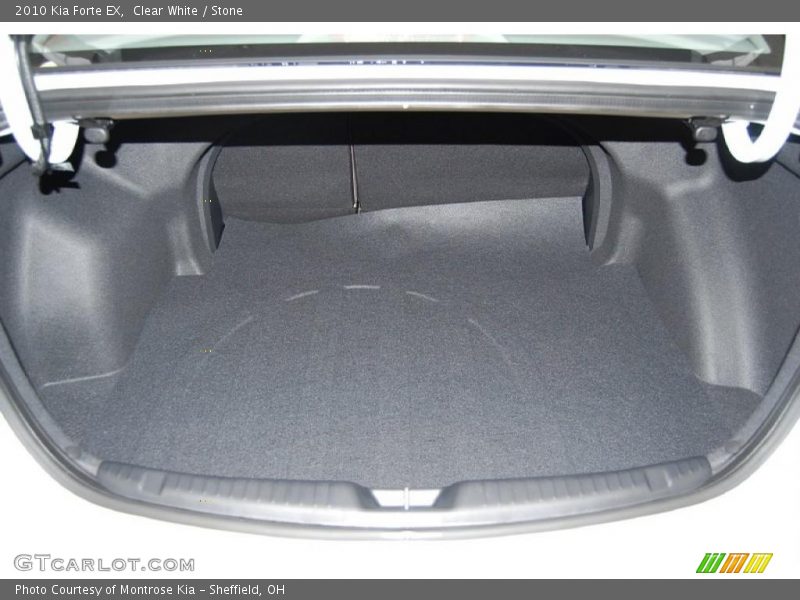 Clear White / Stone 2010 Kia Forte EX