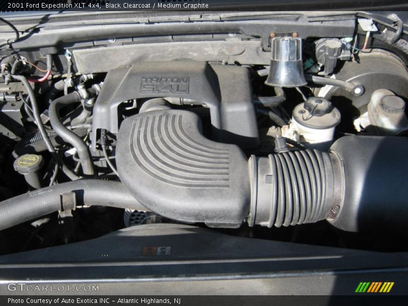 Black Clearcoat / Medium Graphite 2001 Ford Expedition XLT 4x4