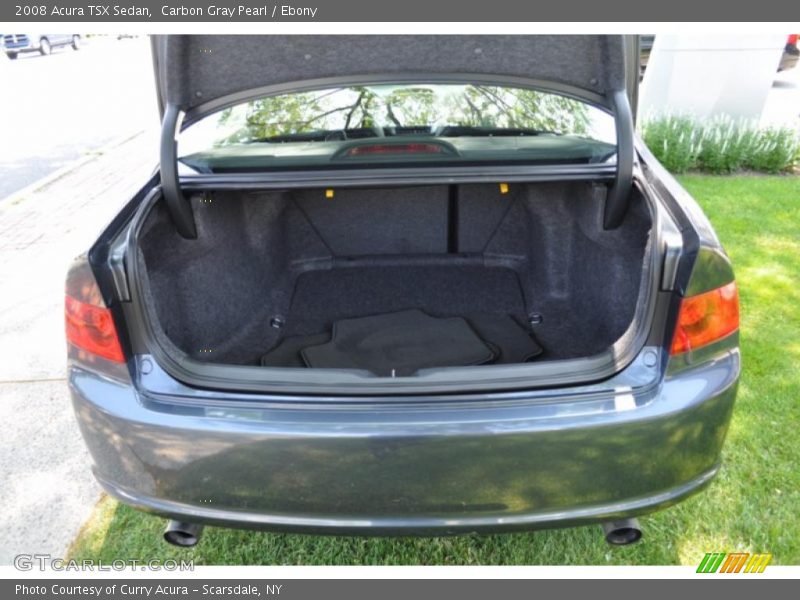 Carbon Gray Pearl / Ebony 2008 Acura TSX Sedan