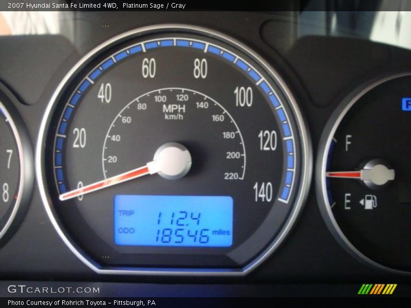 Platinum Sage / Gray 2007 Hyundai Santa Fe Limited 4WD