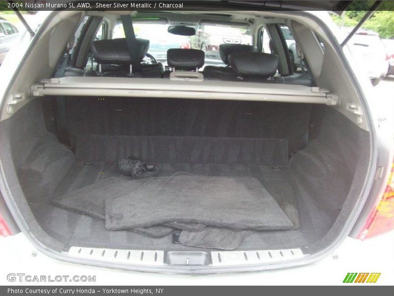 Sheer Silver Metallic / Charcoal 2004 Nissan Murano SL AWD