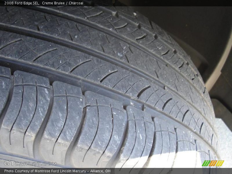 Creme Brulee / Charcoal 2008 Ford Edge SEL