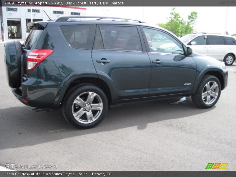 Black Forest Pearl / Dark Charcoal 2009 Toyota RAV4 Sport V6 4WD