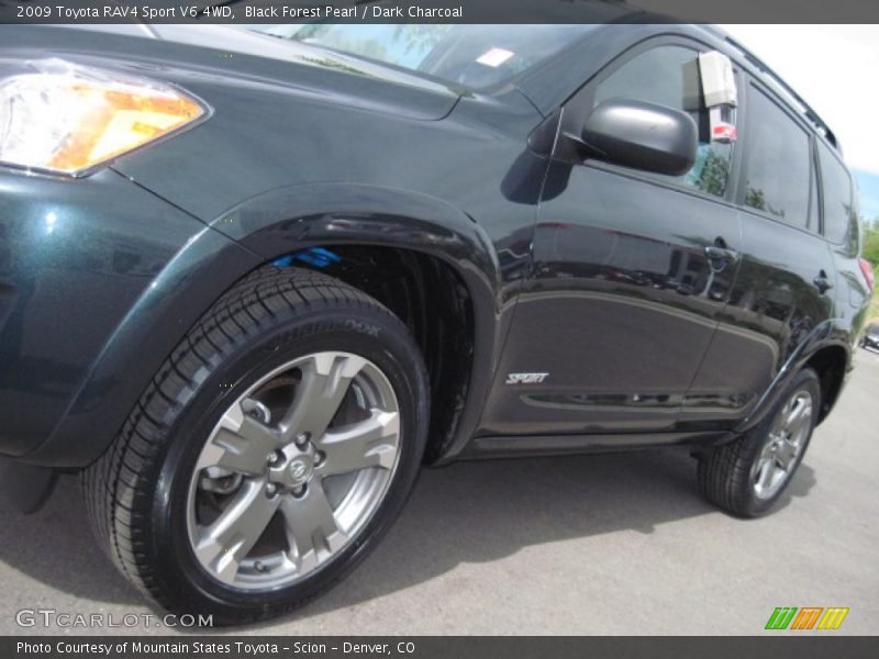 Black Forest Pearl / Dark Charcoal 2009 Toyota RAV4 Sport V6 4WD