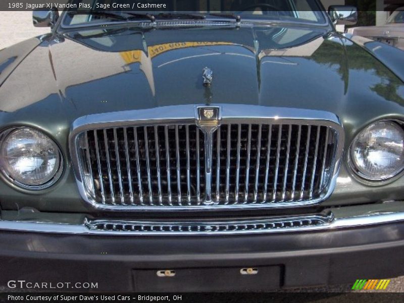 Sage Green / Cashmere 1985 Jaguar XJ Vanden Plas