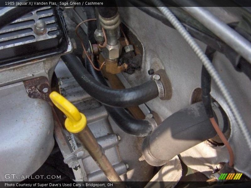 Sage Green / Cashmere 1985 Jaguar XJ Vanden Plas