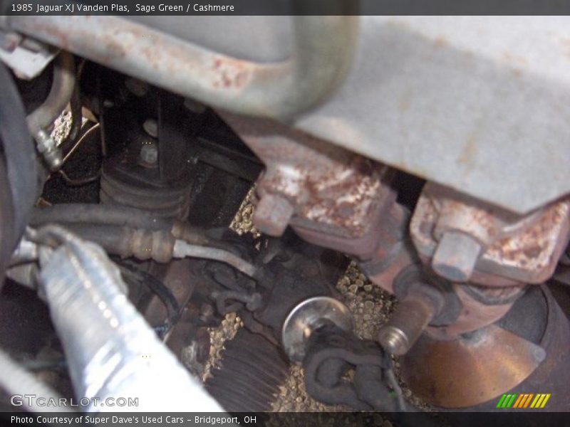 Sage Green / Cashmere 1985 Jaguar XJ Vanden Plas
