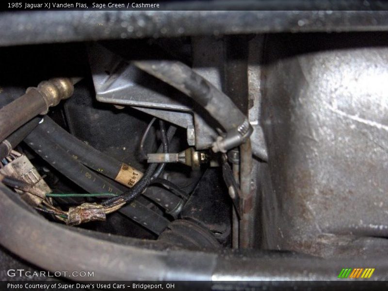Sage Green / Cashmere 1985 Jaguar XJ Vanden Plas