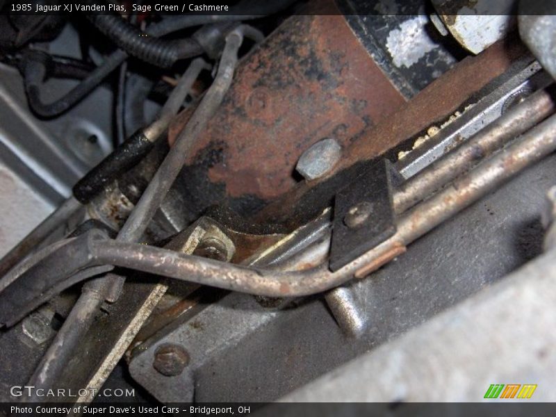 Sage Green / Cashmere 1985 Jaguar XJ Vanden Plas