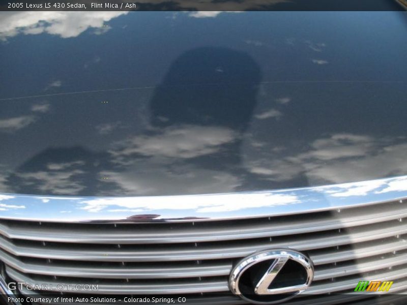 Flint Mica / Ash 2005 Lexus LS 430 Sedan