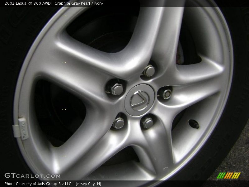 Graphite Gray Pearl / Ivory 2002 Lexus RX 300 AWD