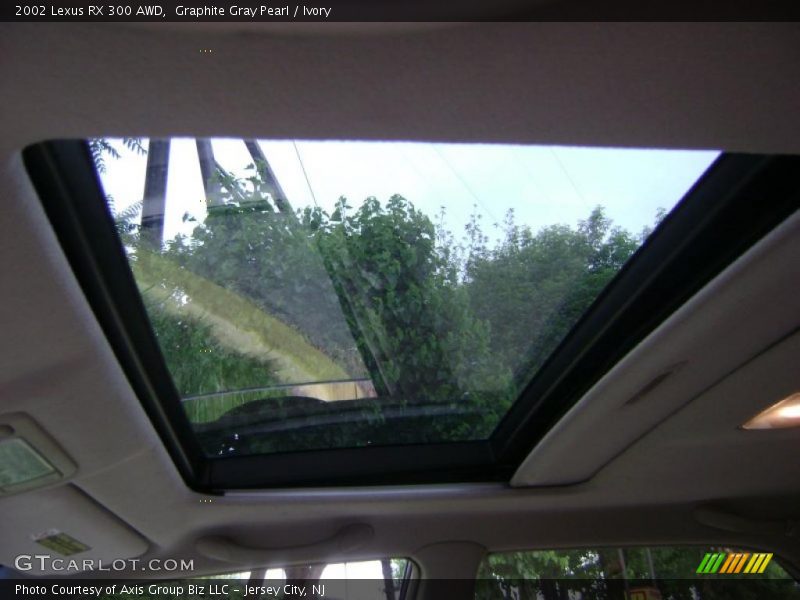 Graphite Gray Pearl / Ivory 2002 Lexus RX 300 AWD