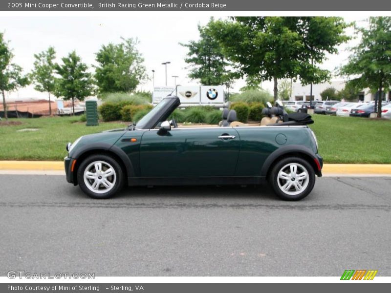 British Racing Green Metallic / Cordoba Beige 2005 Mini Cooper Convertible