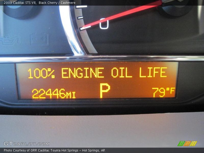 Black Cherry / Cashmere 2009 Cadillac STS V8
