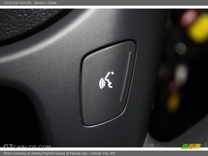 Bronze / Stone 2010 Kia Forte EX