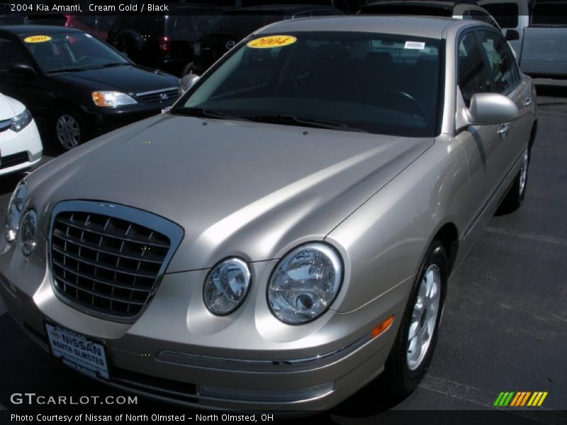 Cream Gold / Black 2004 Kia Amanti
