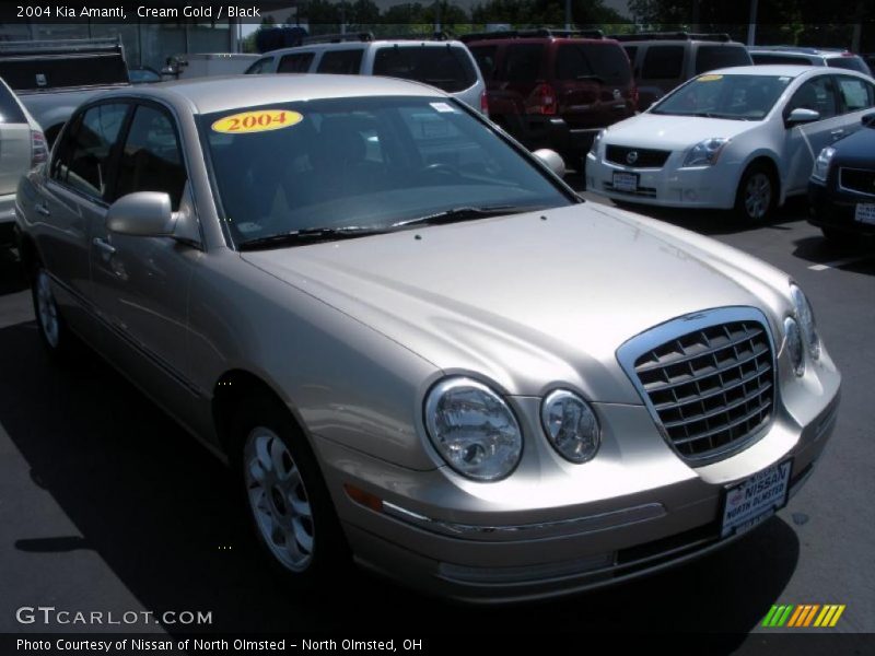 Cream Gold / Black 2004 Kia Amanti
