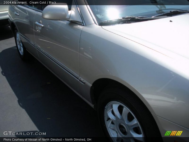 Cream Gold / Black 2004 Kia Amanti