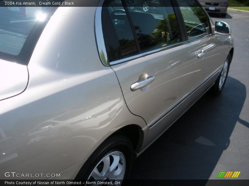 Cream Gold / Black 2004 Kia Amanti