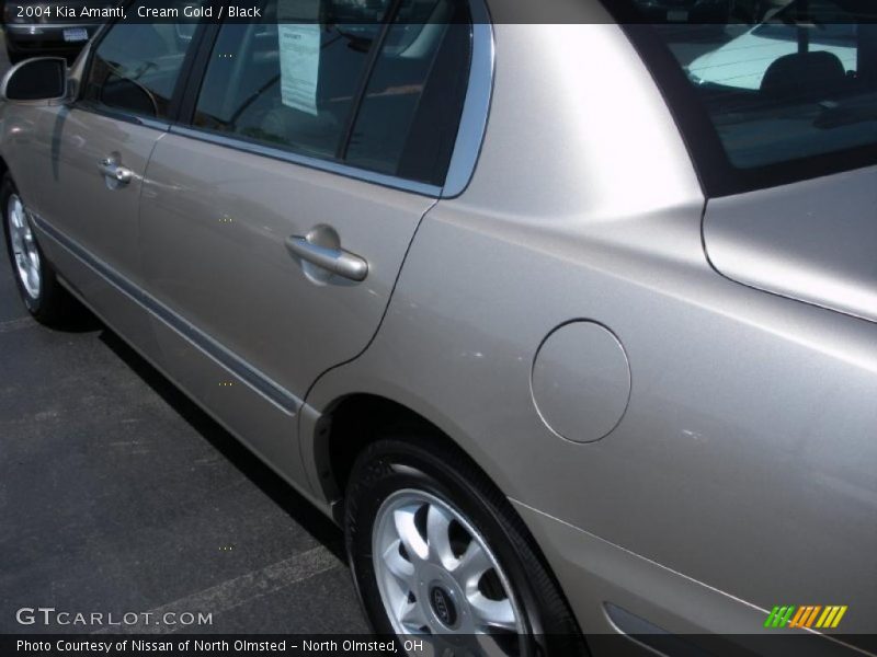 Cream Gold / Black 2004 Kia Amanti