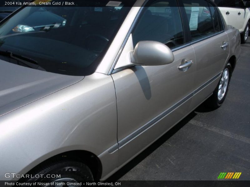 Cream Gold / Black 2004 Kia Amanti
