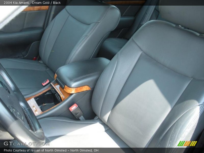 Cream Gold / Black 2004 Kia Amanti