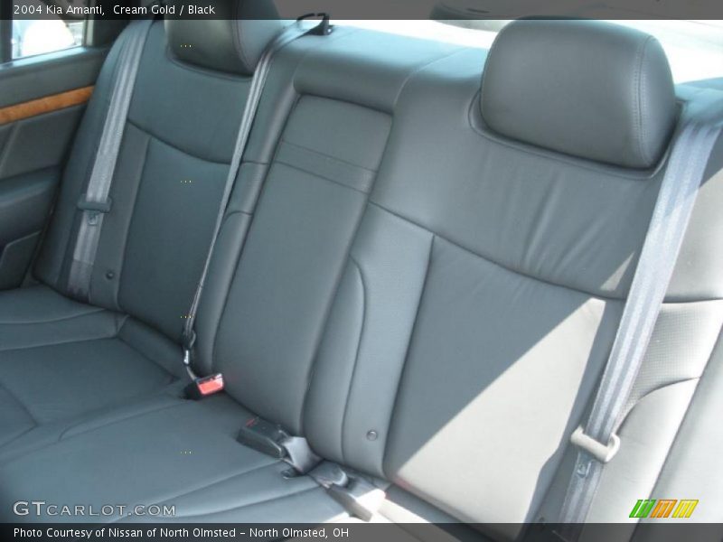 Cream Gold / Black 2004 Kia Amanti