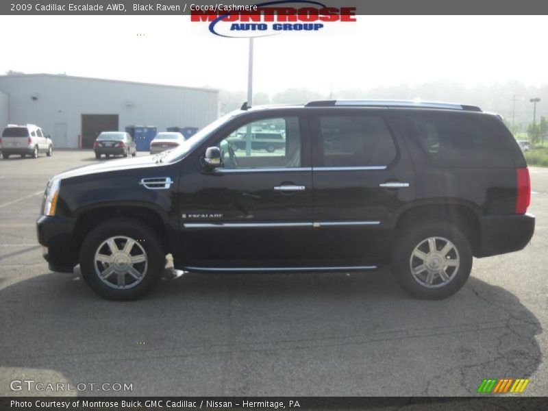 Black Raven / Cocoa/Cashmere 2009 Cadillac Escalade AWD