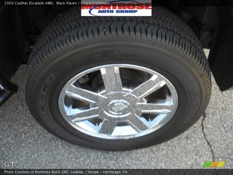 Black Raven / Cocoa/Cashmere 2009 Cadillac Escalade AWD