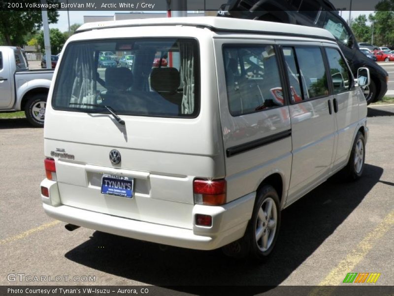 Arctic White / Grey 2001 Volkswagen EuroVan MV