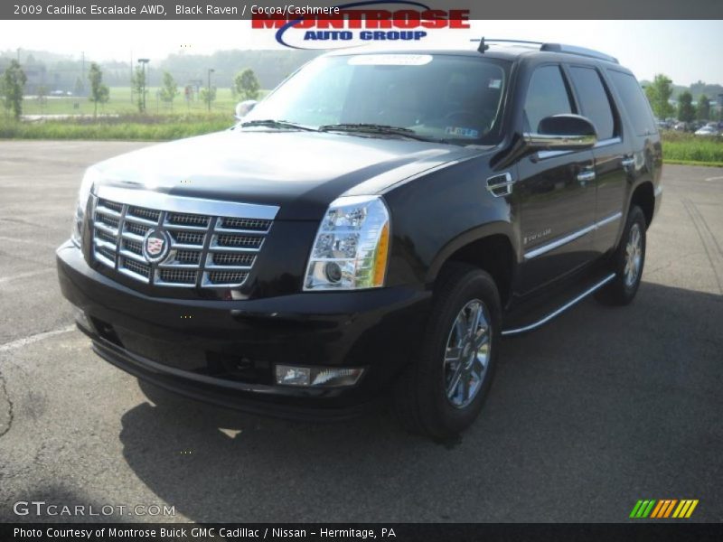 Black Raven / Cocoa/Cashmere 2009 Cadillac Escalade AWD