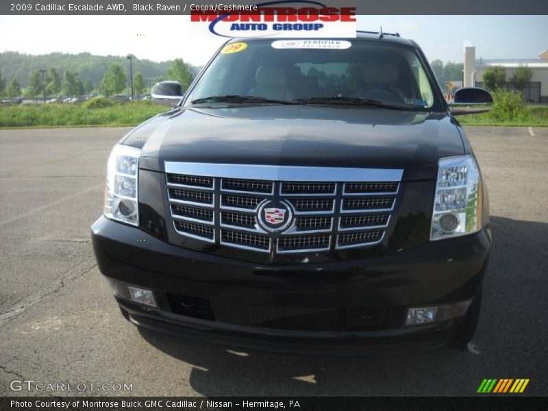 Black Raven / Cocoa/Cashmere 2009 Cadillac Escalade AWD