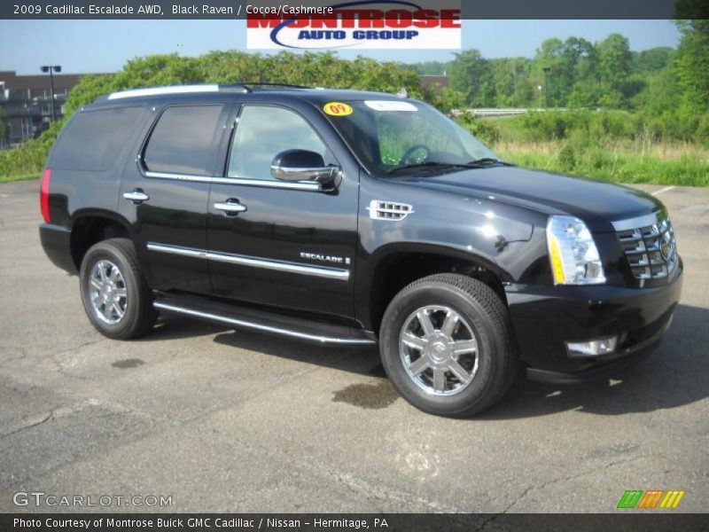 Black Raven / Cocoa/Cashmere 2009 Cadillac Escalade AWD